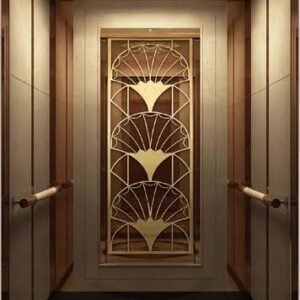 passenger elevator 2000kg